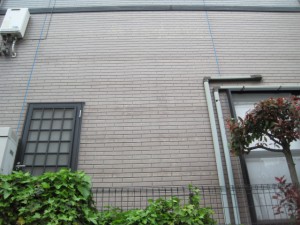 IMG_2938