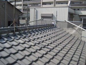 IMG_6169