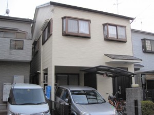 IMG_8487