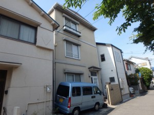 P5240067 (2)
