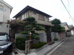 P9100128