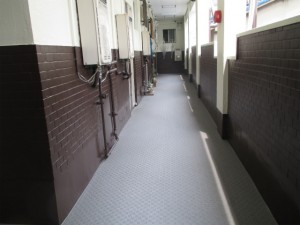 IMG_0314