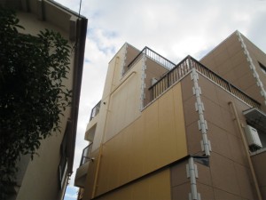 IMG_1175