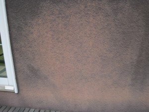 007