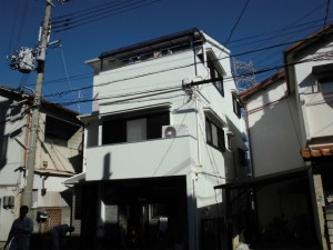 036 (3)