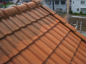 屋根洗浄比較(屋根上方の黒い部分は洗浄前)