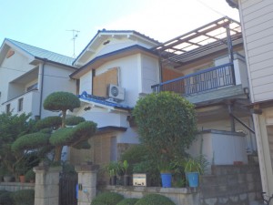 P7250161