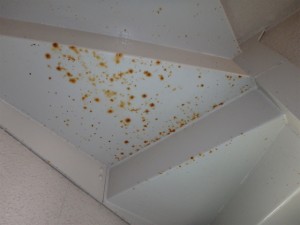 階段裏鉄部 塗装前