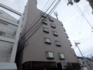 P8060008