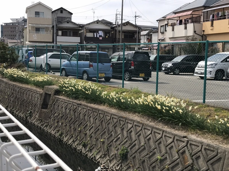 松原市のポスティング時に撮影した風景