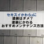 セキスイかわらuのメンテナンス方法は塗装が不向き