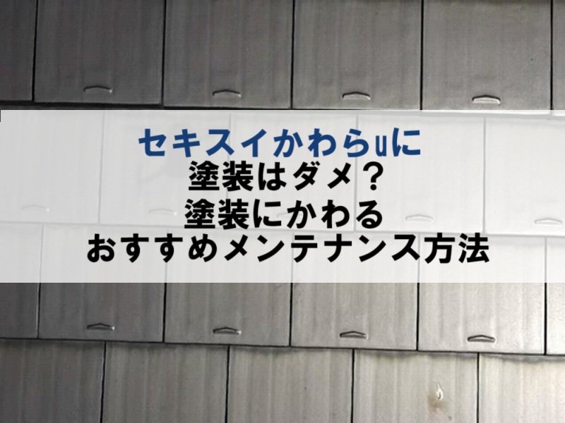 セキスイかわらuのメンテナンス方法は塗装が不向き