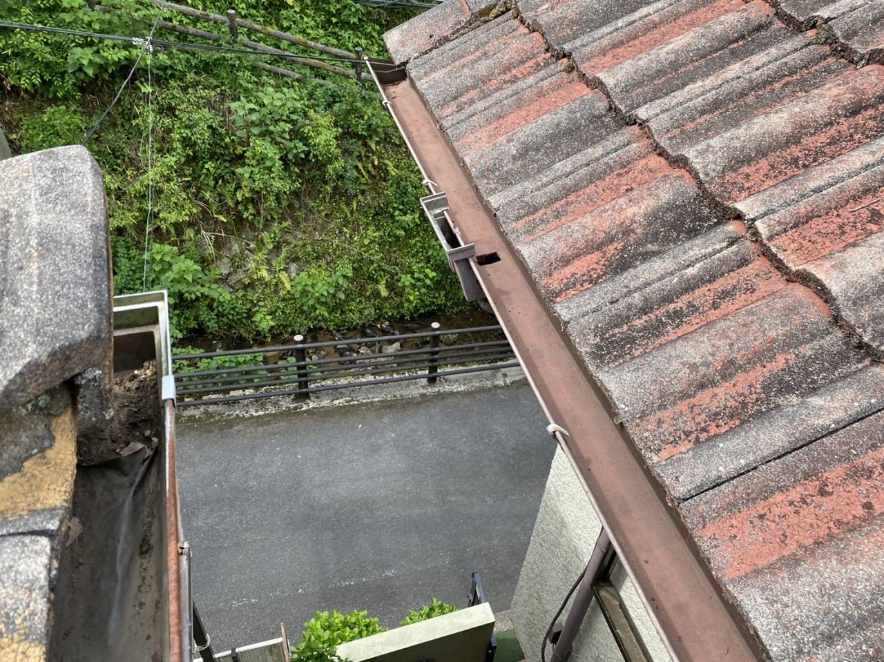 雨樋清掃