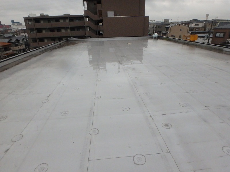 防水工事施工前の屋上全体