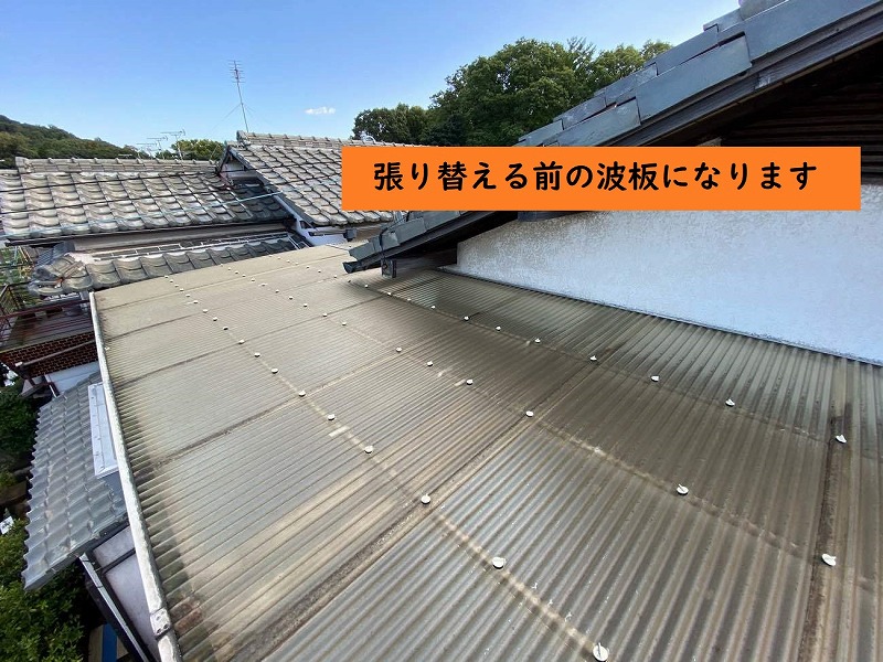 塩ビ製波板張り替え