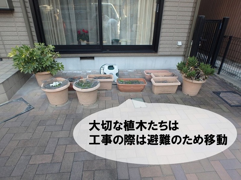 植木は避難が必要