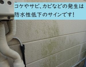 マンション外壁塗装の目安　カビサビコケの発生