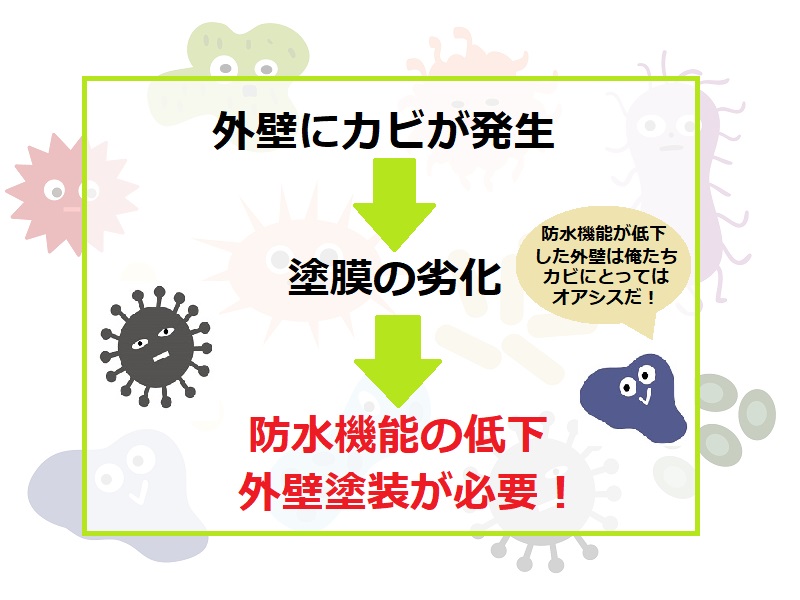 外壁のカビには外壁塗装を！カビができる原因や放置厳禁理由を解説