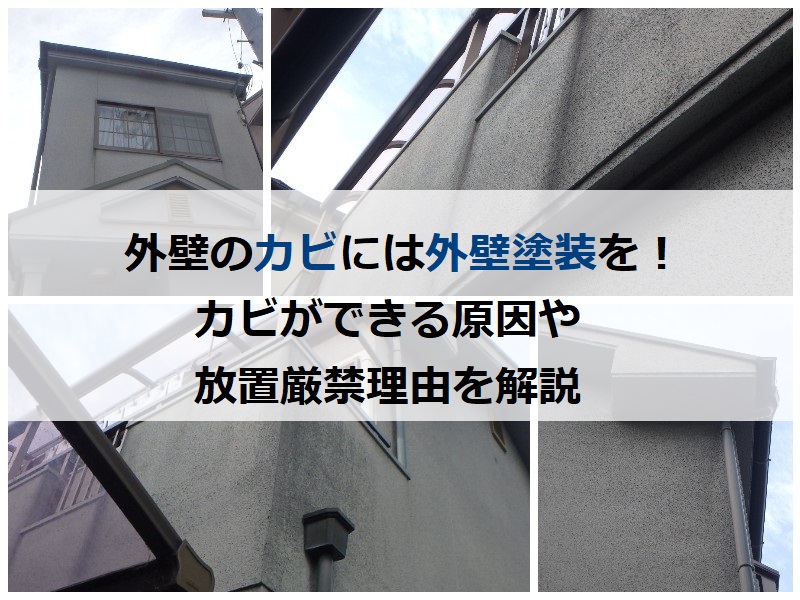 外壁のカビには外壁塗装を！カビができる原因や放置厳禁理由を解説