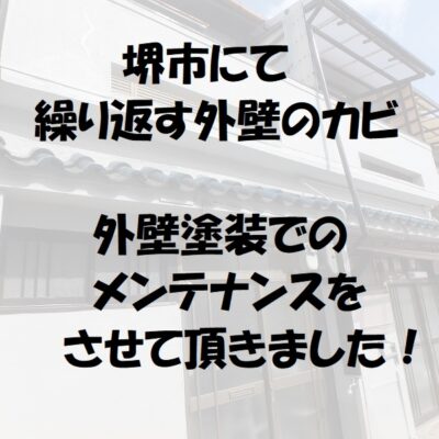 堺市外壁のカビ　外壁塗装でのメンテナンス