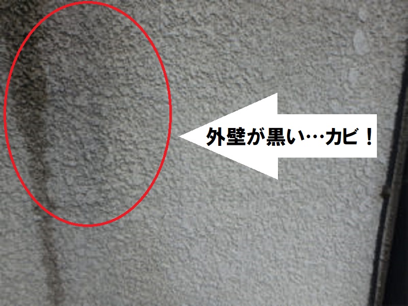 外壁のカビには外壁塗装を カビができる原因や放置厳禁理由を解説 南大阪ペイントセンター