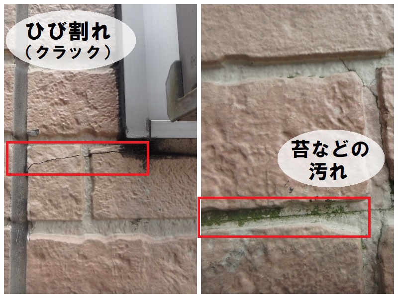 堺市　窯業系サイディング　ひび割れ（クラック）・苔などのよごれ