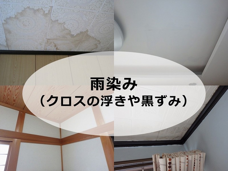 堺市の雨漏り事例 雨漏り調査を相談した方が良い危険な症状3選 南大阪ペイントセンター 堺市の雨漏り事例 雨漏り調査を相談した方が良い危険な症状3選 南大阪ペイントセンター