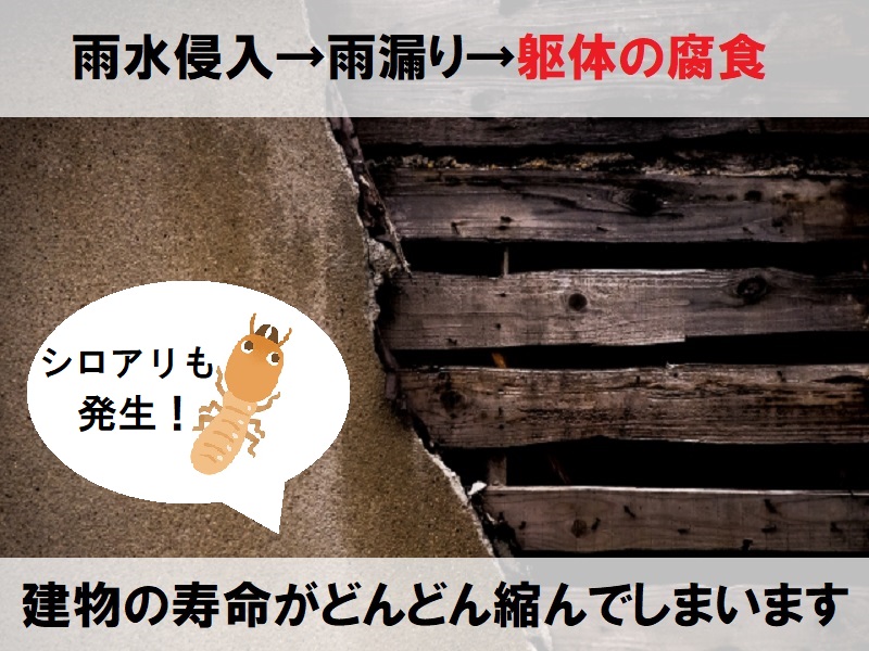 羽曳野市 窯業系サイディングのお宅にて雨漏り調査を実施　築年数が経ち雨漏り放置は躯体の腐食やシロアリ被害の原因に