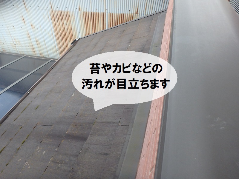 堺市にて屋根の塗り替えを実施（遮熱塗料アレスクールを使用）苔やカビなどの汚れ
