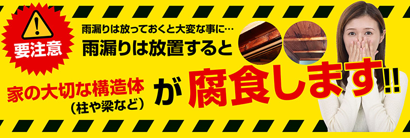 雨漏りは放置すると家の大切な構造体が腐食します