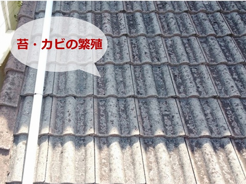 苔・カビの繁殖があるモニエル瓦の屋根
