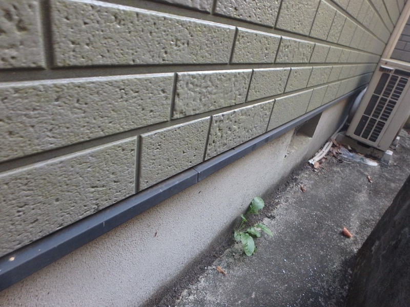 和泉市にて外壁工事の見積もりを取ってほしいとご依頼頂きました サイディングに生えた苔コケ