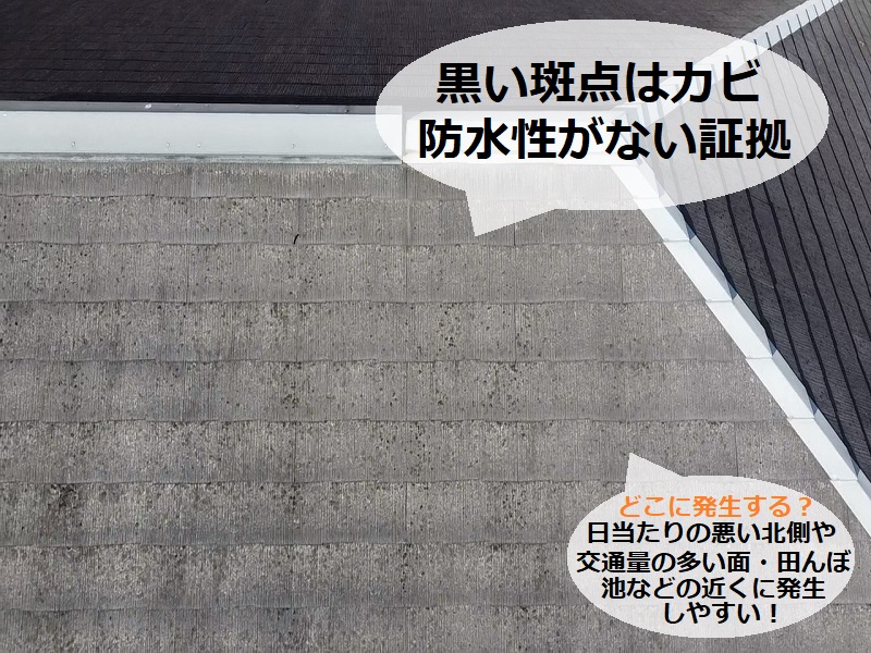 河内長野市にて屋根塗り替えを実施 かかった料金は約31万円 カビが発生