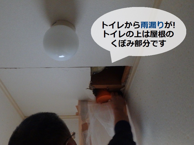 富田林市にて屋根塗装と雨漏り箇所には屋根の葺き替えを実施 トイレの天井から雨漏り