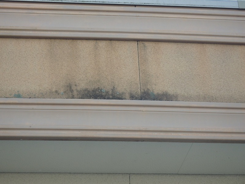 和泉市にて築18年のお宅で外壁工事のお見積りに伺いました 外壁の汚れ