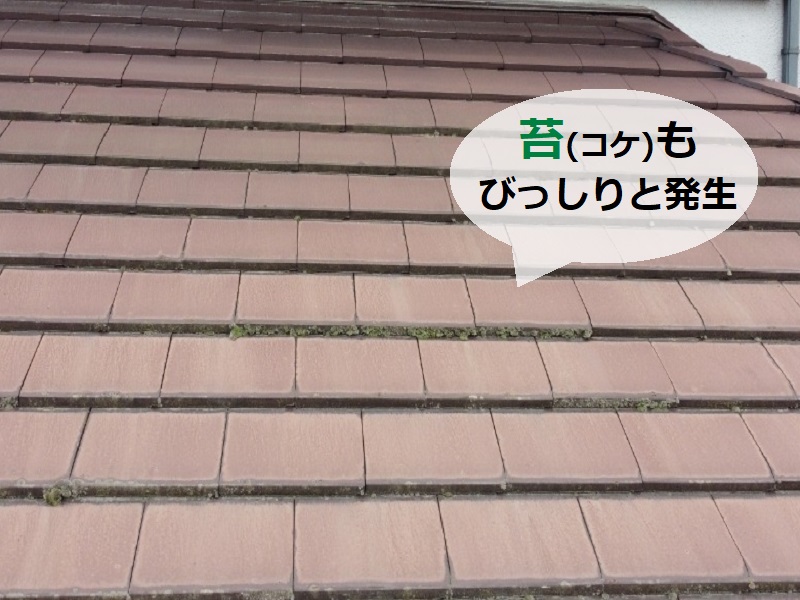 羽曳野市にて屋根の塗装工事を実施しました（セメント瓦を塗装）施工前苔が生えている