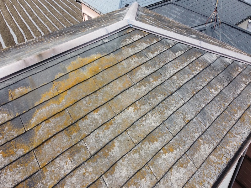 松原市にてRSルーフ2液SIで屋根塗り替えをさせて頂きました 屋根塗り替え前の屋根の状態（苔が激しい）