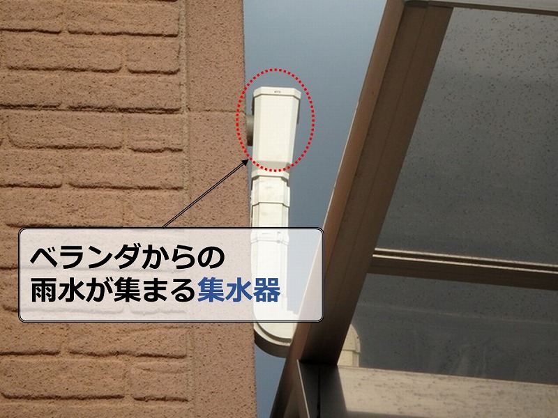 ベランダからの雨水が集まる集水器