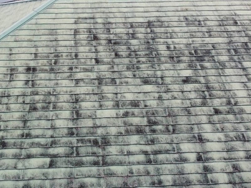 カビの繁殖したスレート瓦の屋根
