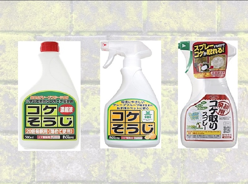 外壁のコケは放置厳禁！正しい除去方法と予防のポイントをご紹介 コケ洗浄材