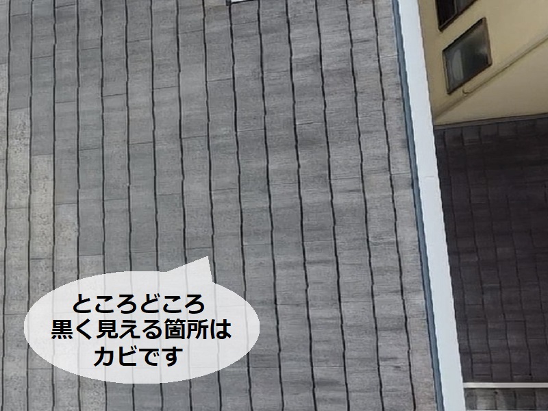 河内長野市にて屋根の塗装工事（使用塗料は断熱塗料のガイナ）ドローンで点検屋根　カビが発生