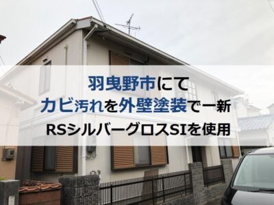 羽曳野市にてカビ汚れを外壁塗装で一新！RSシルバーグロスSIを使用