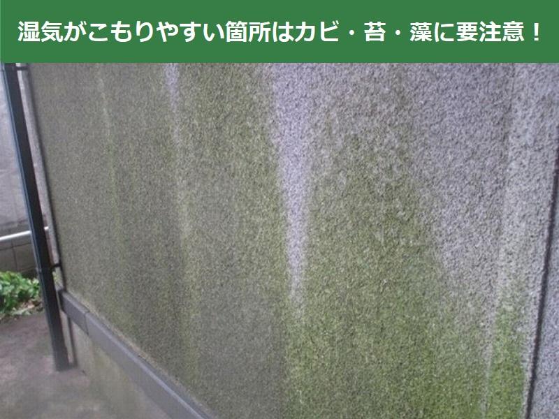 湿気がこもりやすい外壁はコケカビ藻などが目立ちやすいので汚れが目立ちにくい茶色での外壁塗装がおすすめ