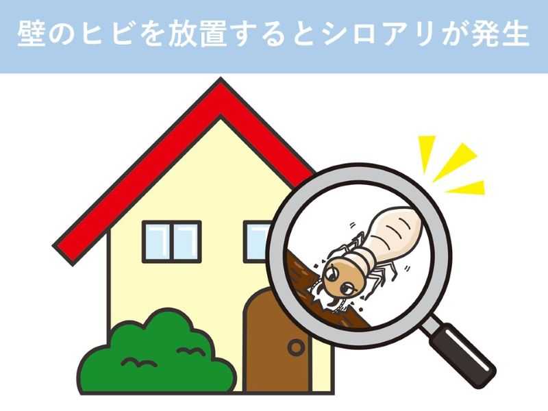 壁のヒビを放置するとシロアリが発生