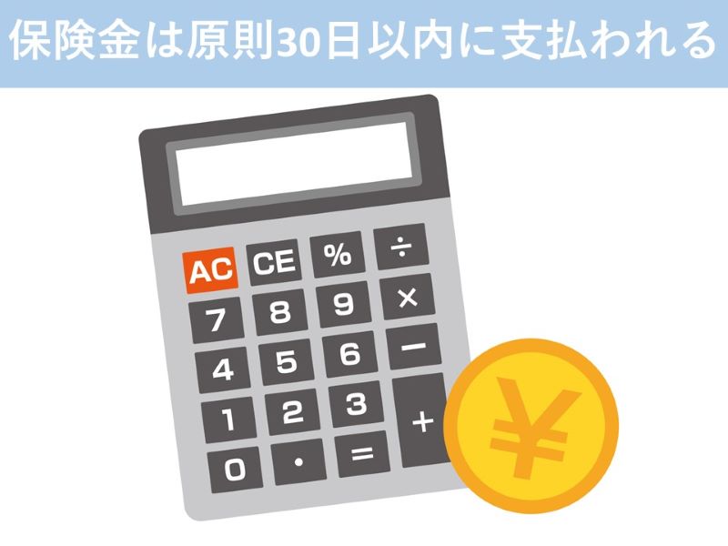 保険金は原則30日以内に支払われる