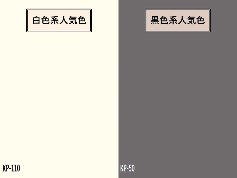 マンションの白色系と黒色系の人気色