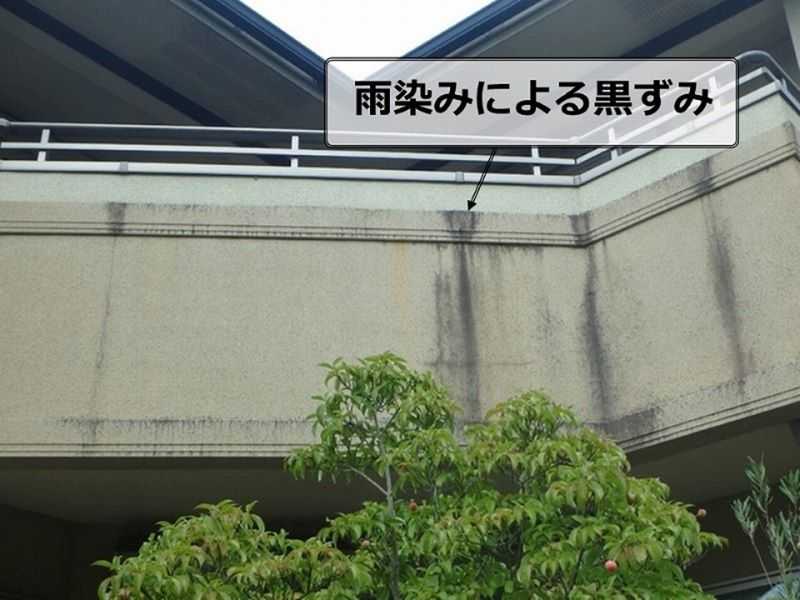 モルタルの黒ずみ　幸手市　杉戸町　蓮田市　白岡市　菖蒲町　塗り替えセミナー　プロタイムズ蓮田店㈱リノデクション　外壁塗装　屋根塗装　総合文化会館ハストピア　生涯学習センターこもれびの森　カインズホーム前　　幸手市保健福祉総合センター　汚れ　膨れ　スレート　瓦　窯業系サイディング　モルタル　助成金、悪徳リフォーム業者、消費トラブル、業者選び、相場、概算、外壁、屋根、塗装、足場、汚れ、遮熱、シーリング、コーキング、シール、目地、モルタル、窯業系サイディング、スレート、瓦、チョーキング、色褪せ、膨れ、ひび割れ、剥がれ、苔助成金、悪徳リフォーム業者、消費トラブル、業者選び、相場、概算、外壁、屋根、塗装、足場、汚れ、遮熱、シーリング、コーキング、シール、目地、モルタル、窯業系サイディング、スレート　瓦　チョーキング　色褪せ　膨れ　ひび割れ　剥がれ　苔助成金　悪徳リフォーム業者　消費トラブル　業者選び　相場　概算　外壁　屋根　塗装　足場　汚れ　遮熱　シーリング　コーキング　シール　目地　モルタル　窯業系サイディング　スレート　瓦　チョーキング　色褪せ　膨れ　ひび割れ　剥がれ　苔