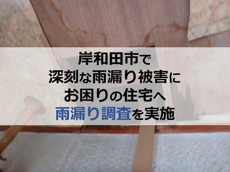 岸和田市で深刻な雨漏り被害にお困りの住宅へ雨漏り調査を実施