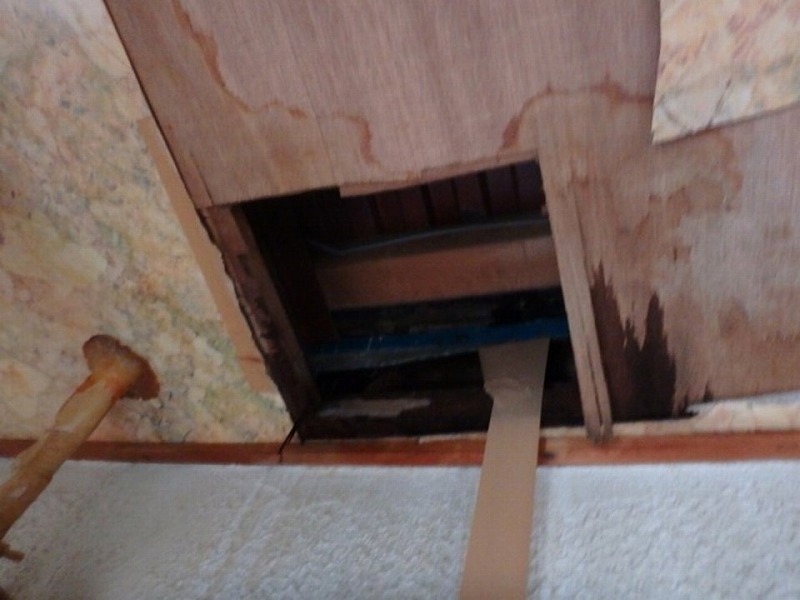 雨漏りによる天井木材の腐食