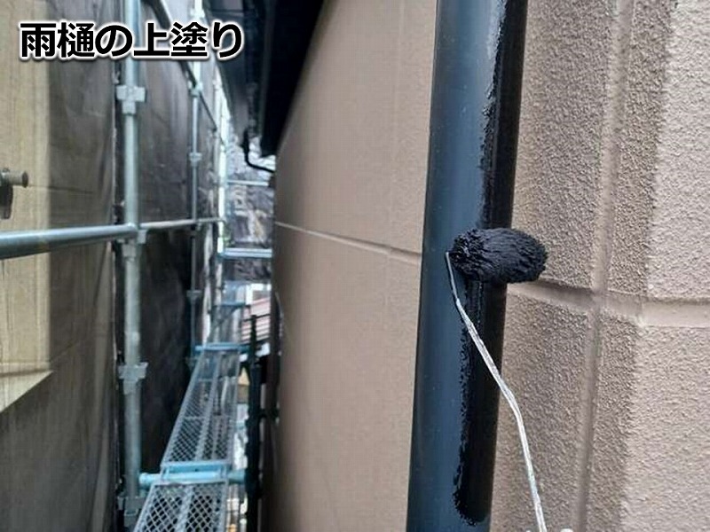 雨樋の上塗り
